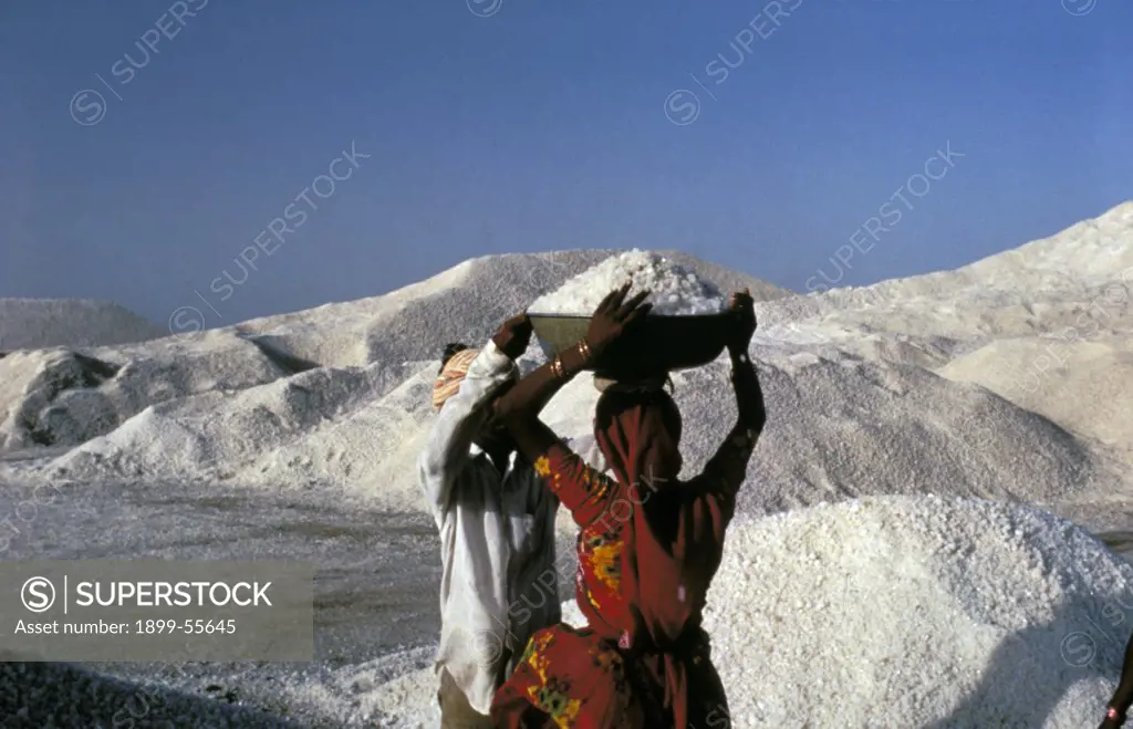 India, Little Ran Desert In Gujarat: Laborers In Salt Making Area