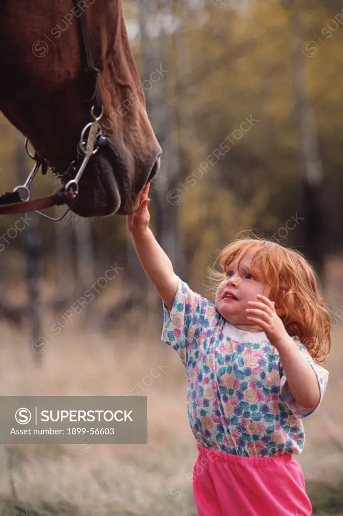 3 Year Old Girl With Horse