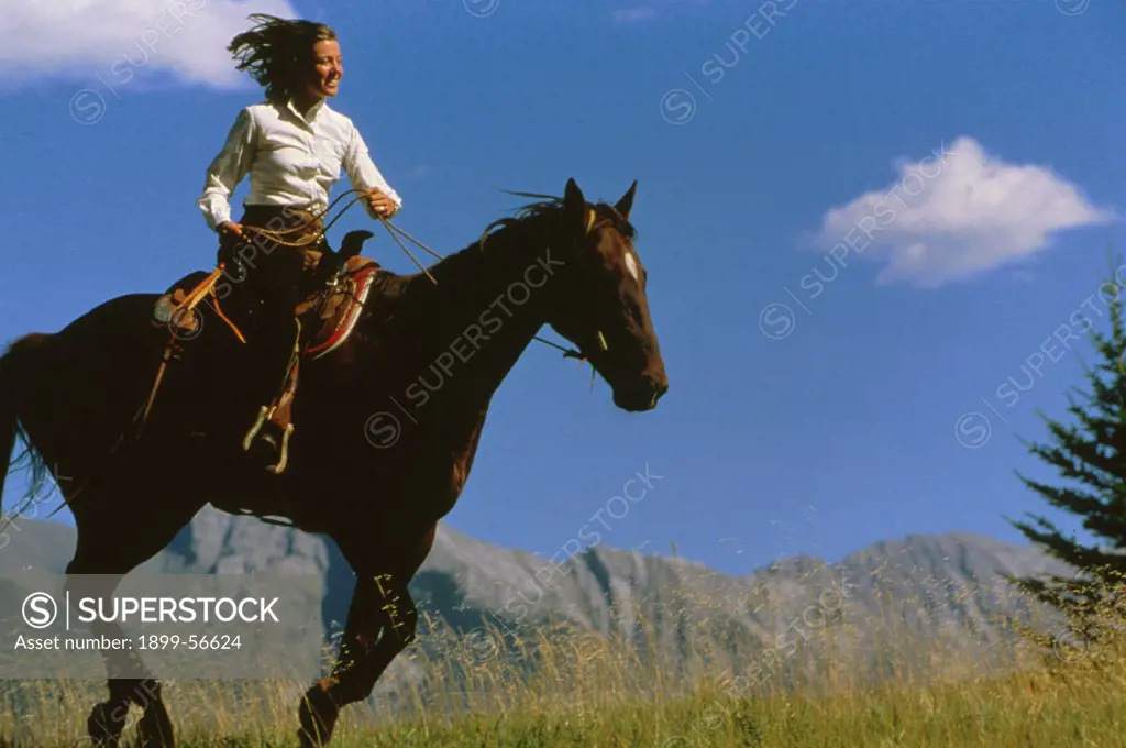 Sports, Outdoors, Horses, Trail Riding, Female