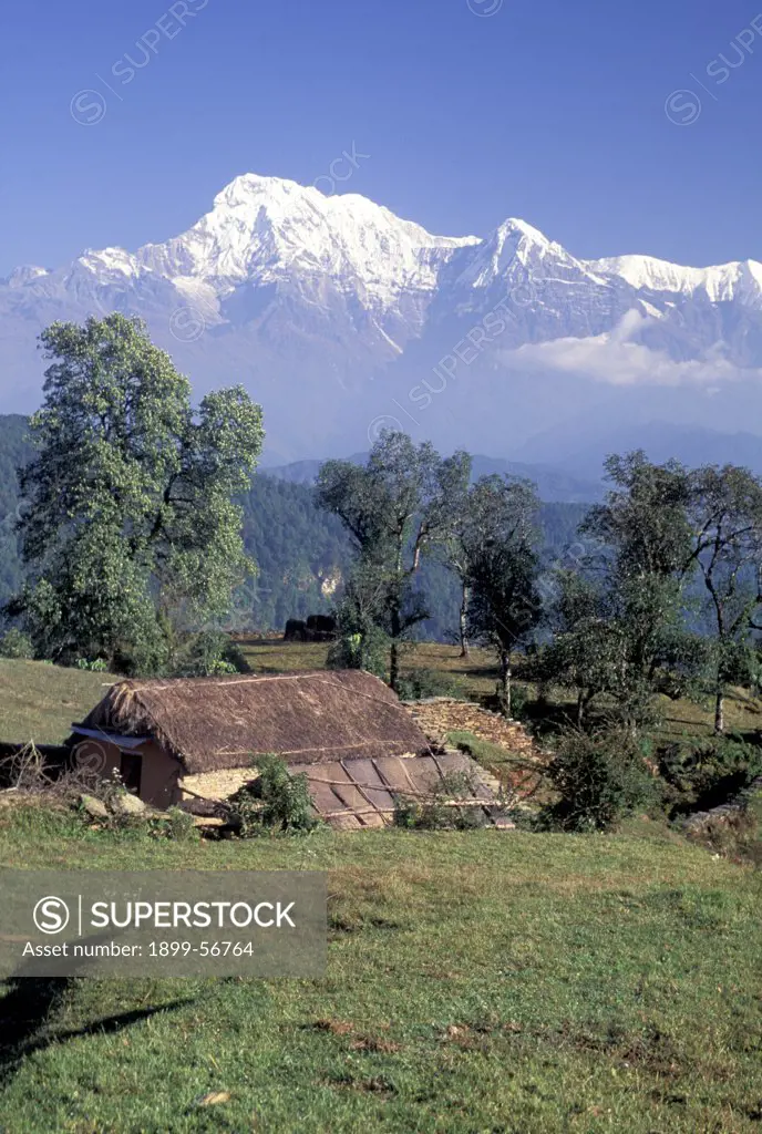 Nepal- Farmscape With Farmhouse In The Annapurna Region