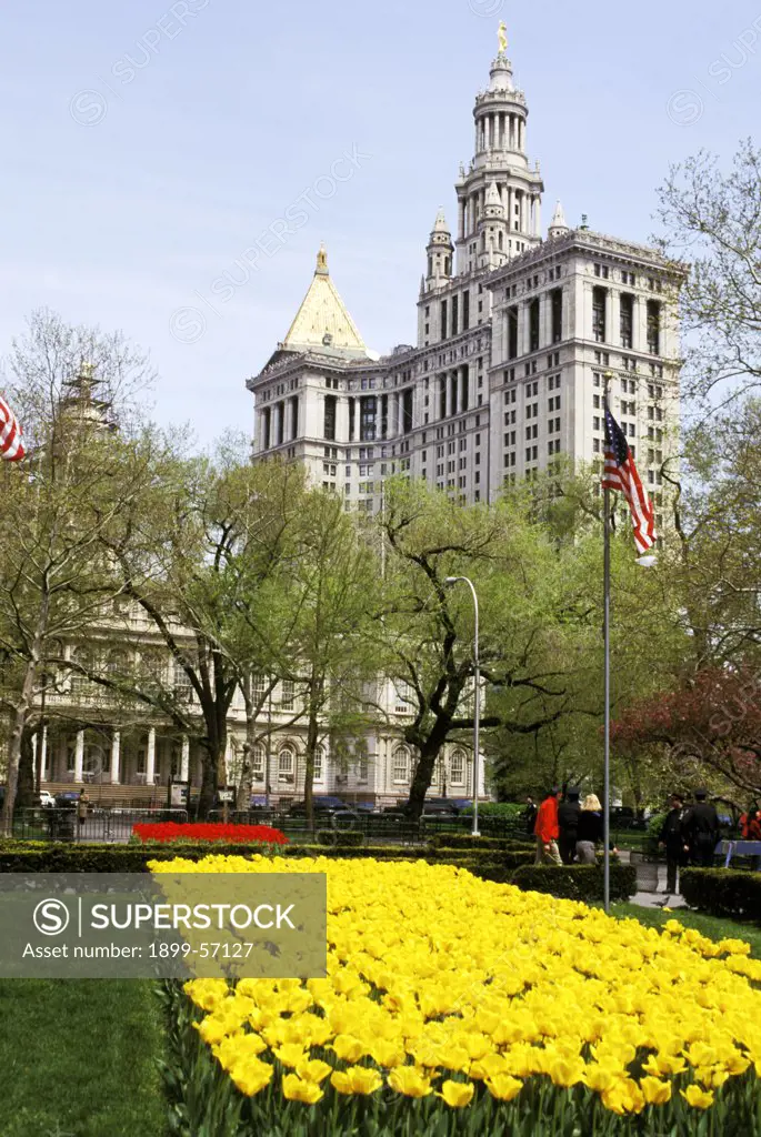 New York City: City Hall And Municipal Building: Park With Flowers In Spring