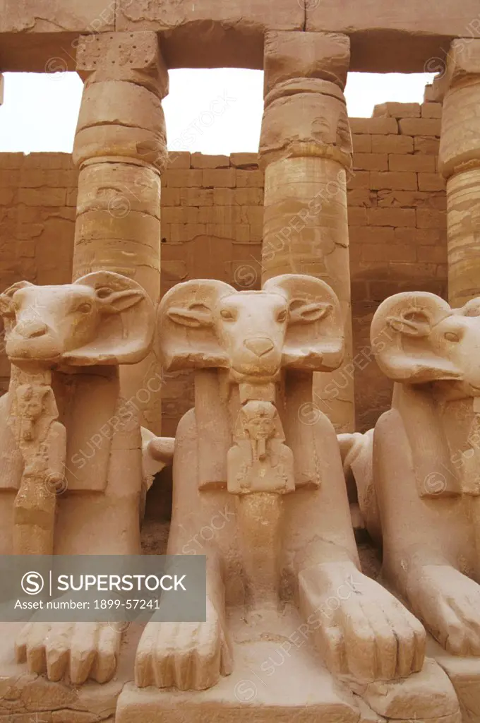 Egypt. Luxor. Karnak Temple.