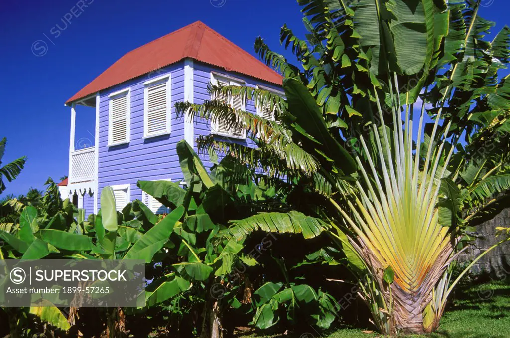 St. Kitts. Rawlins Estate. Kate Spencer'S House.