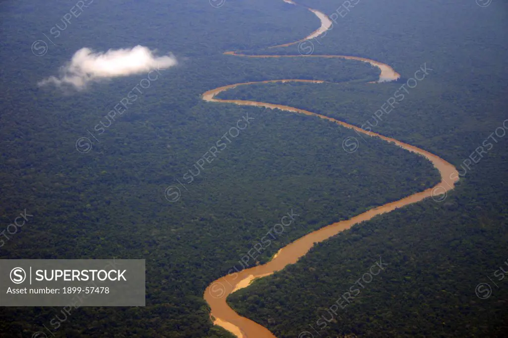 Ecuador. Aerial View Of Rainforest