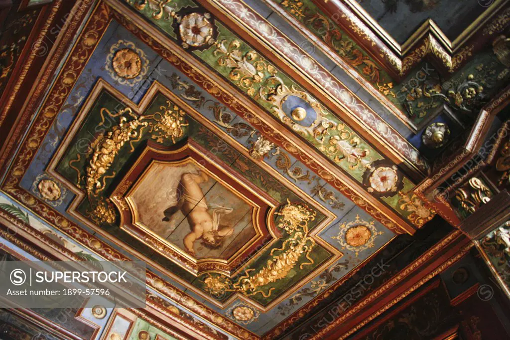 France, Cormatin Castle, Interior Painted And Carved Ceiling