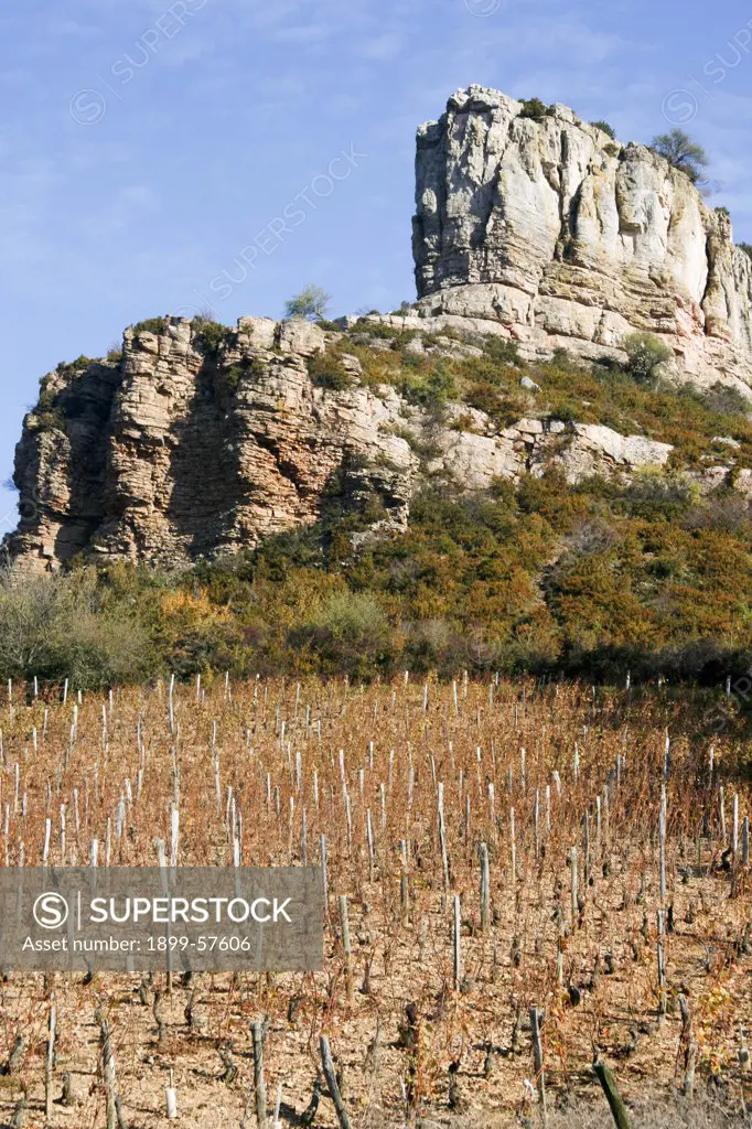 France, Maconnais Wine-Growing Region Of Pouilly-Fuisse Beneath Prehistoric Site Of The Rock Of Solutre