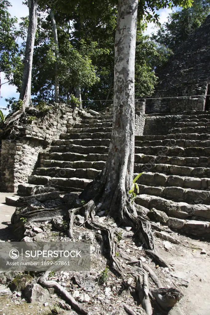 Coba Mayan Ruins. Mexico