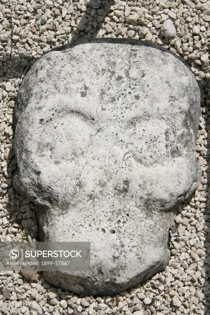 Skull Stone Embedded In Ball Court At Coba Mayan Ruins. Mexico