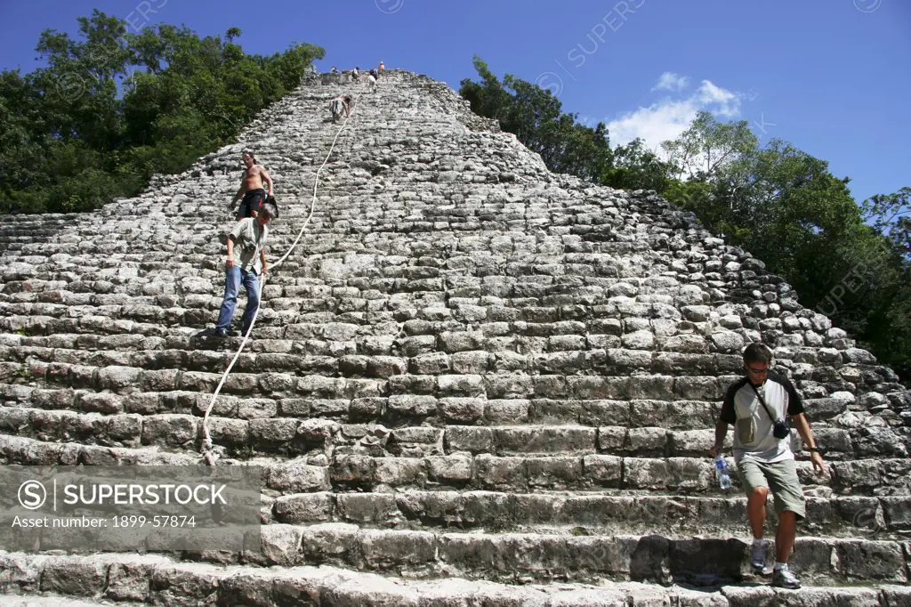 Tallest Pyramid In Coba Mayan Ruins. Mexico