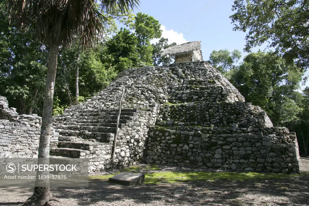 Pyramid In Coba Mayan Ruins. Mexico