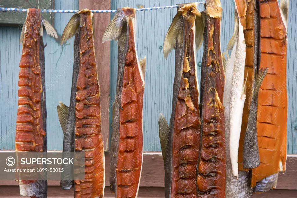 Fish Drying In Inuit Community Of Gjoa Haven, Nunavut, Arctic Canada