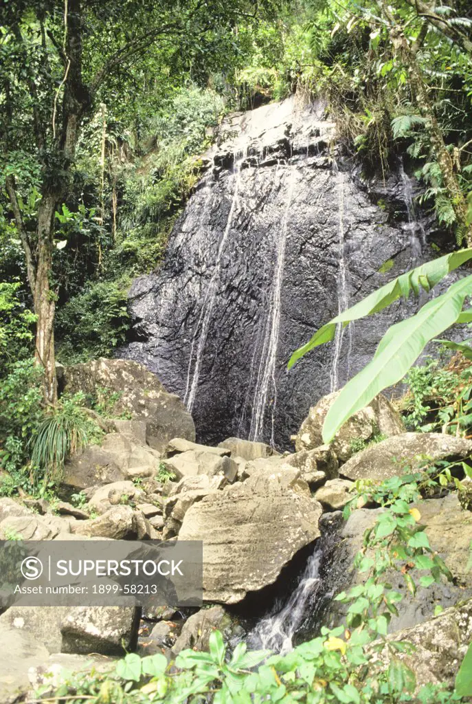 Puerto Rico, El Yunque Rain Forest, Waterfall.