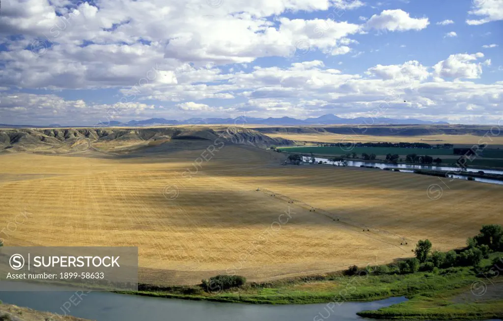 Montana. Wheatfield Along Missouri River. Plateau And Mountains In Background.