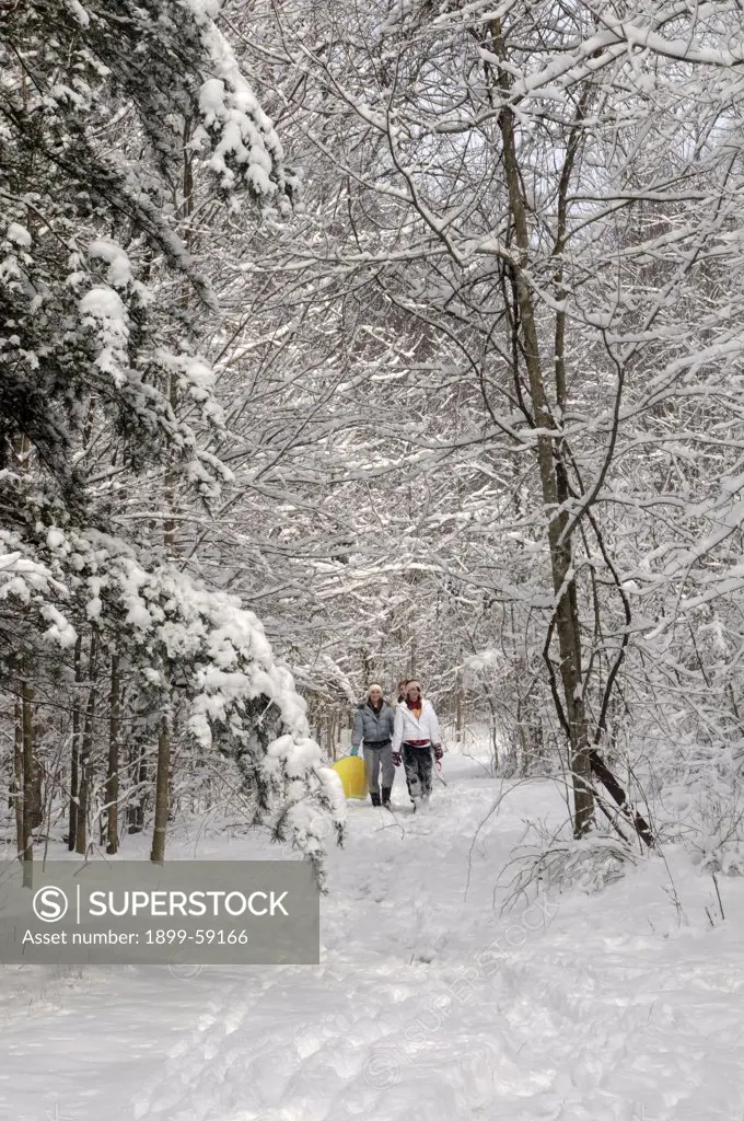 Virginia, Walking On Snow Path