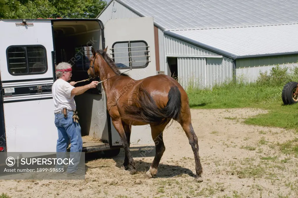 Horse, Horse Trailer And Horse Trainer, Wisconsin Farm