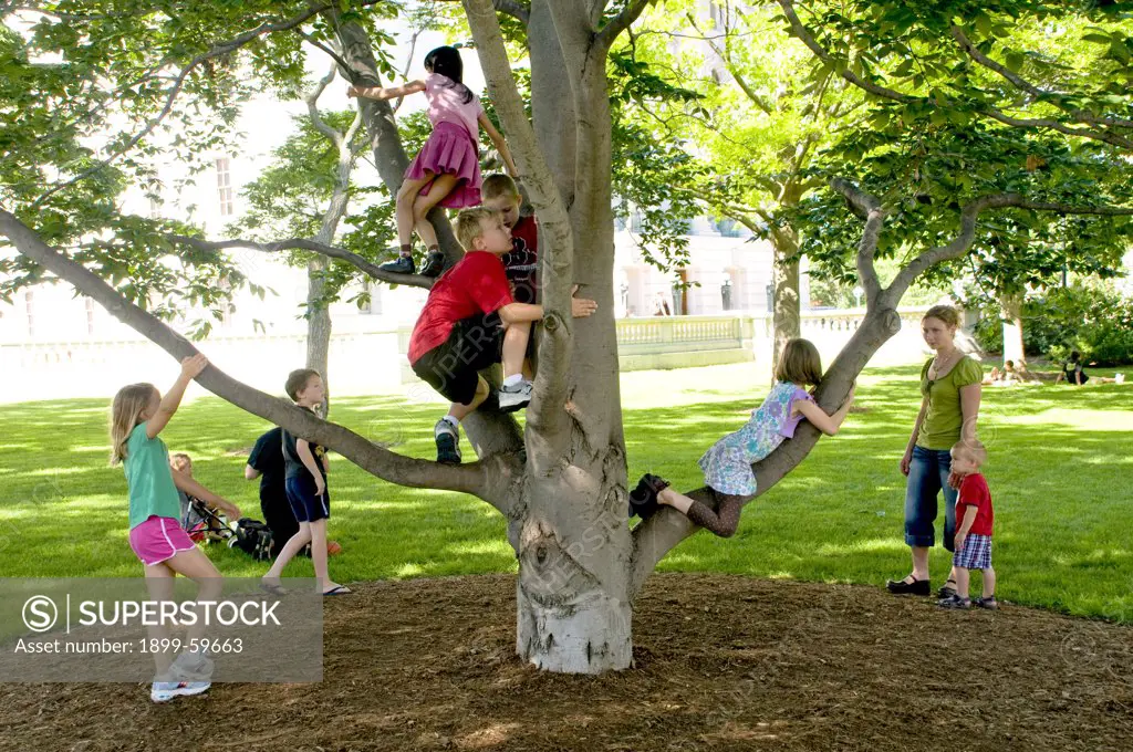 Children Climbing Tree