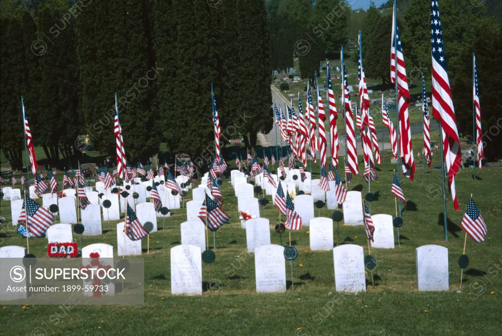 American Flags At Gravesites In Wisconsin Cemetery