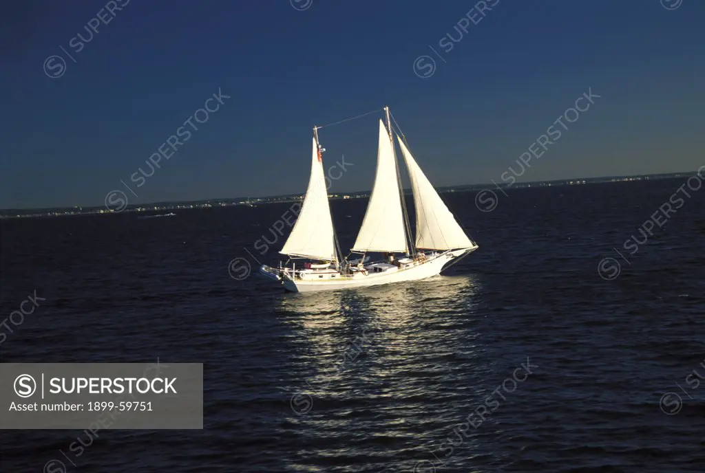 Massachusetts, MarthaS Vineyard, Sailboat With Big White Sails On The Lake, Other Boats In The Distance