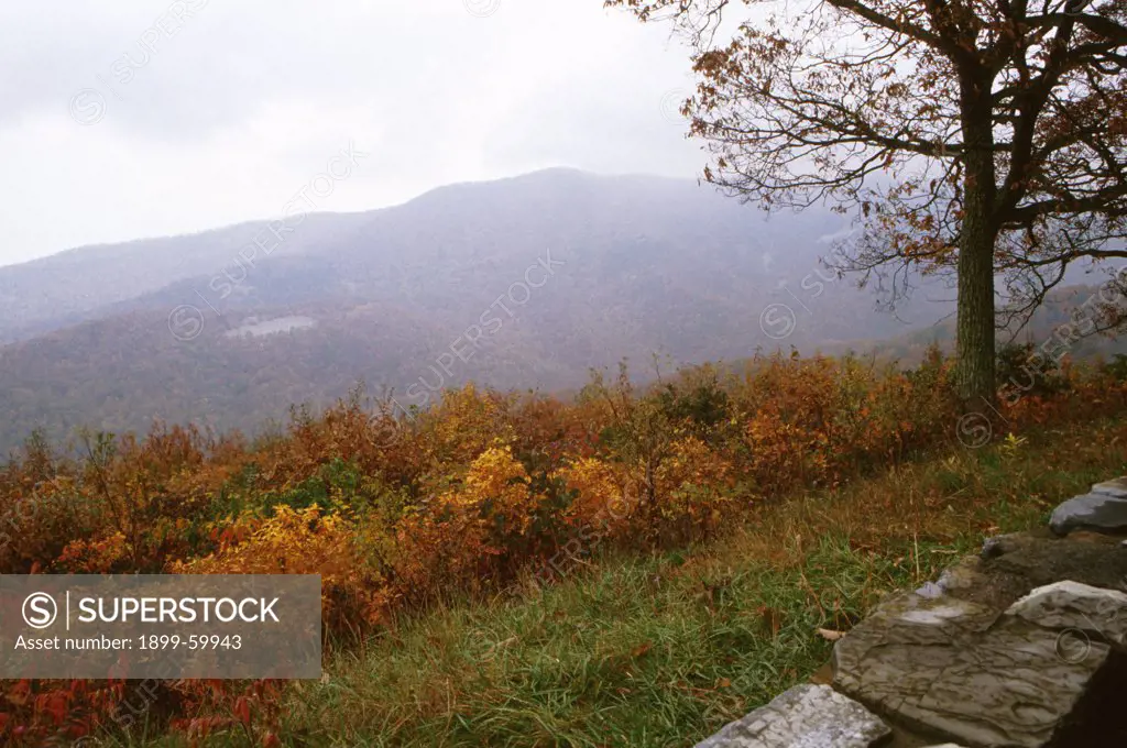 Virginia, Blue Ridge Mountains, Skyline Drive. Autumn Scenic.