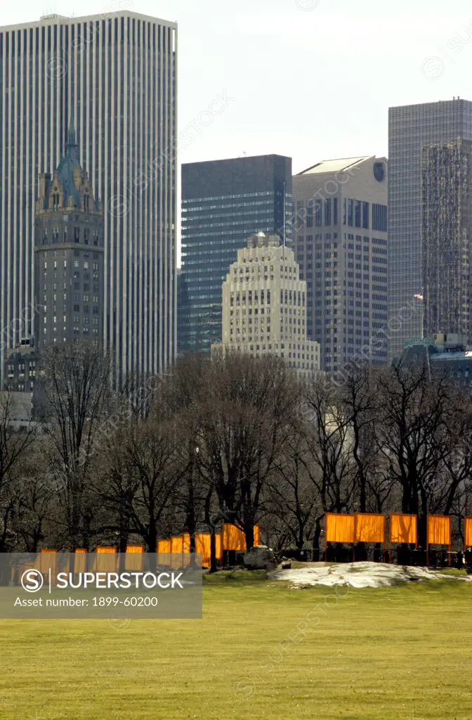 New York. New York City. Central Park. The Gates - Christo. The Sheep Meadow And Midtown Buildings.