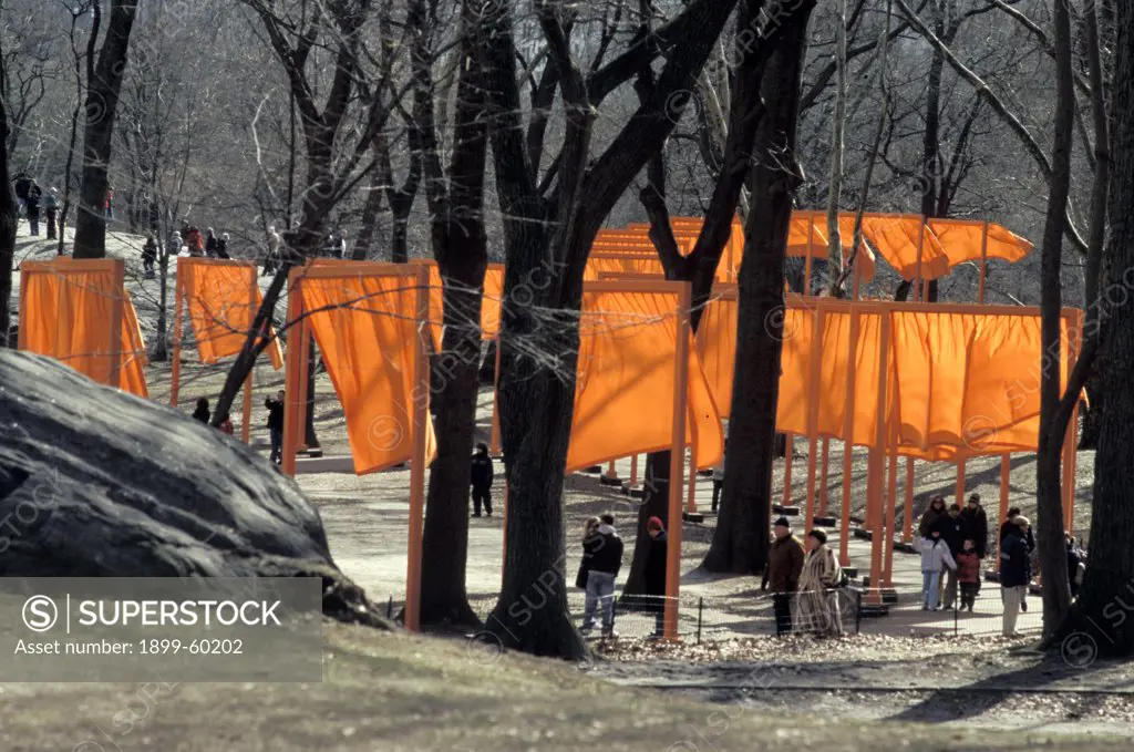 New York. New York City. Central Park. The Gates - Christo And Trees.