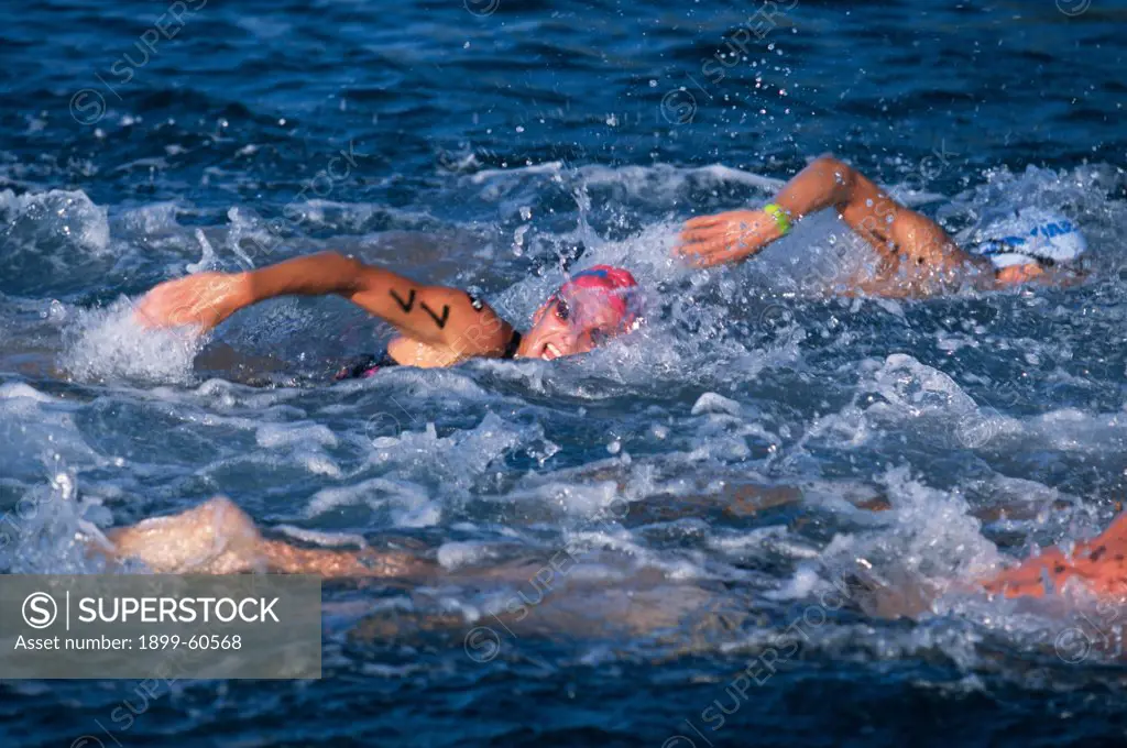 Competitors During The Swim Leg Of The 2001 Ironman World Championship Triathlon. Kona, Hawaii.
