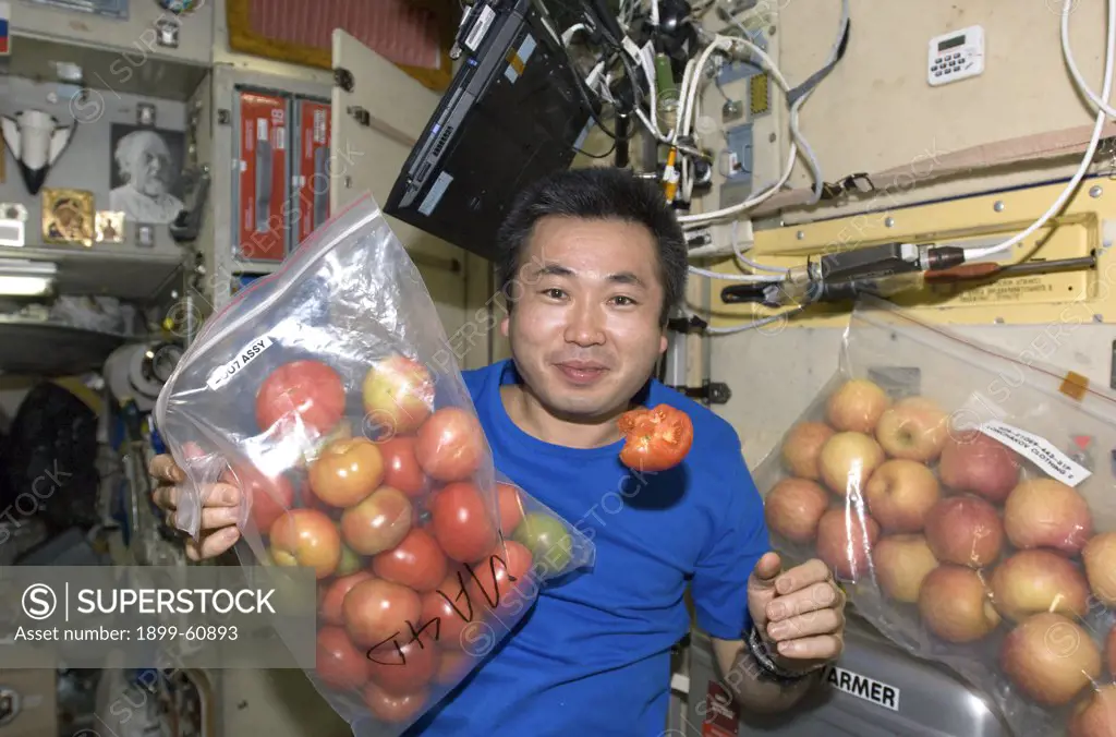 13 May 2009. Japan Aerospace Exploration Agency (Jaxa) Astronaut Koichi Wakata, Expedition 19/20 Flight Engineer, Is Pictured With Fresh Tomatoes And Apples In The Zvezda Service Module Of The International Space Station.