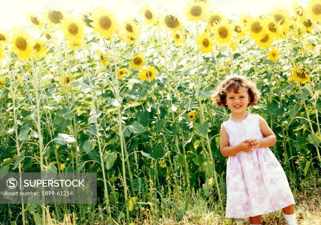 Girl Standing In Sunflower Field