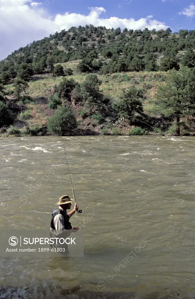 Colorado, Salida, Man Fly Fishing In The Arkansas River