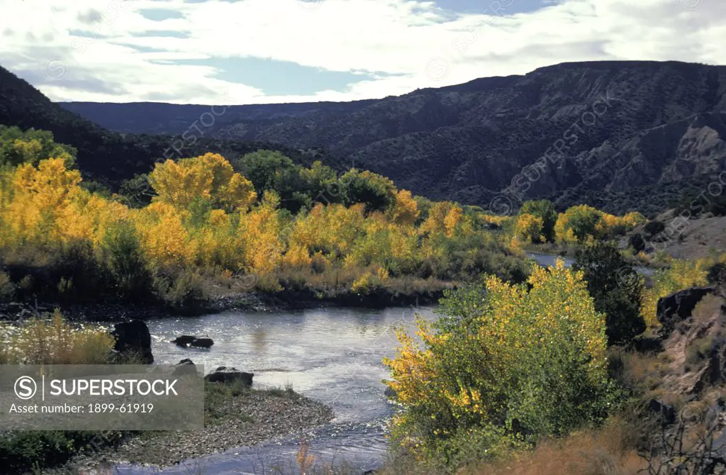 New Mexico. Rio Grande River In The Fall.