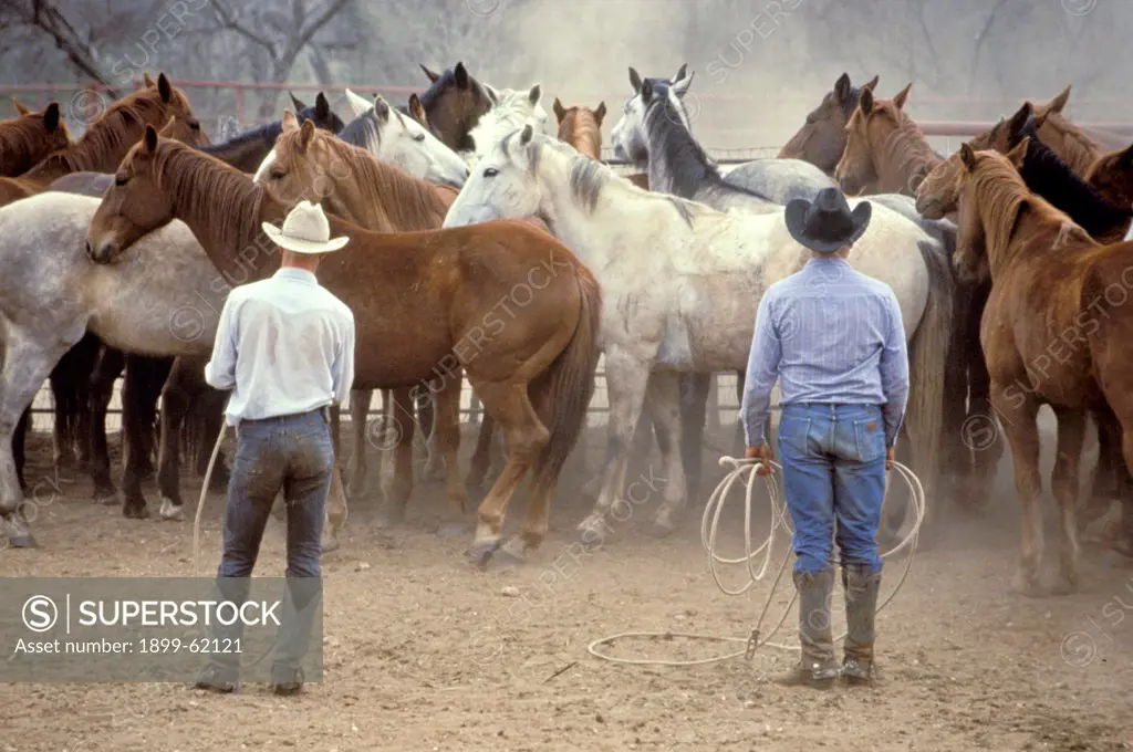 Texas, Guthrie. Pitchfork Ranch Farmers With Horses