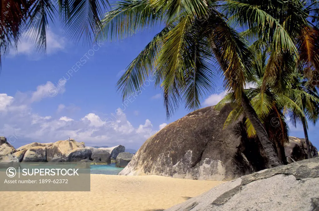 British Virgin Islands, Virgin Gorda. Large Rock And Palm Tree On Beach.