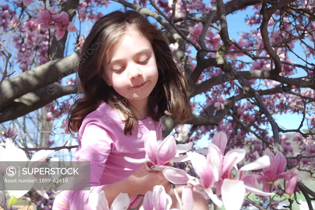 6 Year Old Girl Holding Dogwood Tree Flower