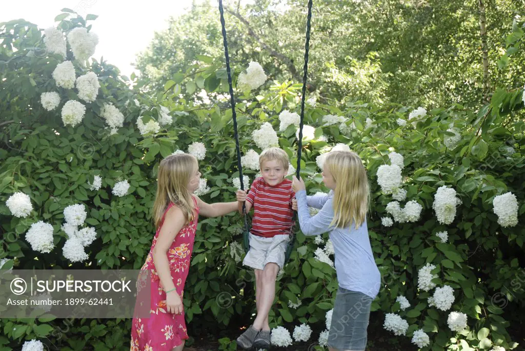 5 Year Old Boy On Swing With Sisters In Massachusetts