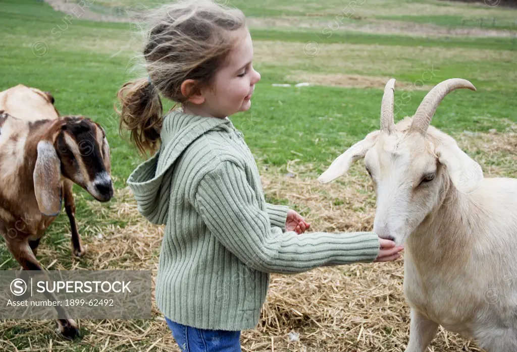 Girl With Goat