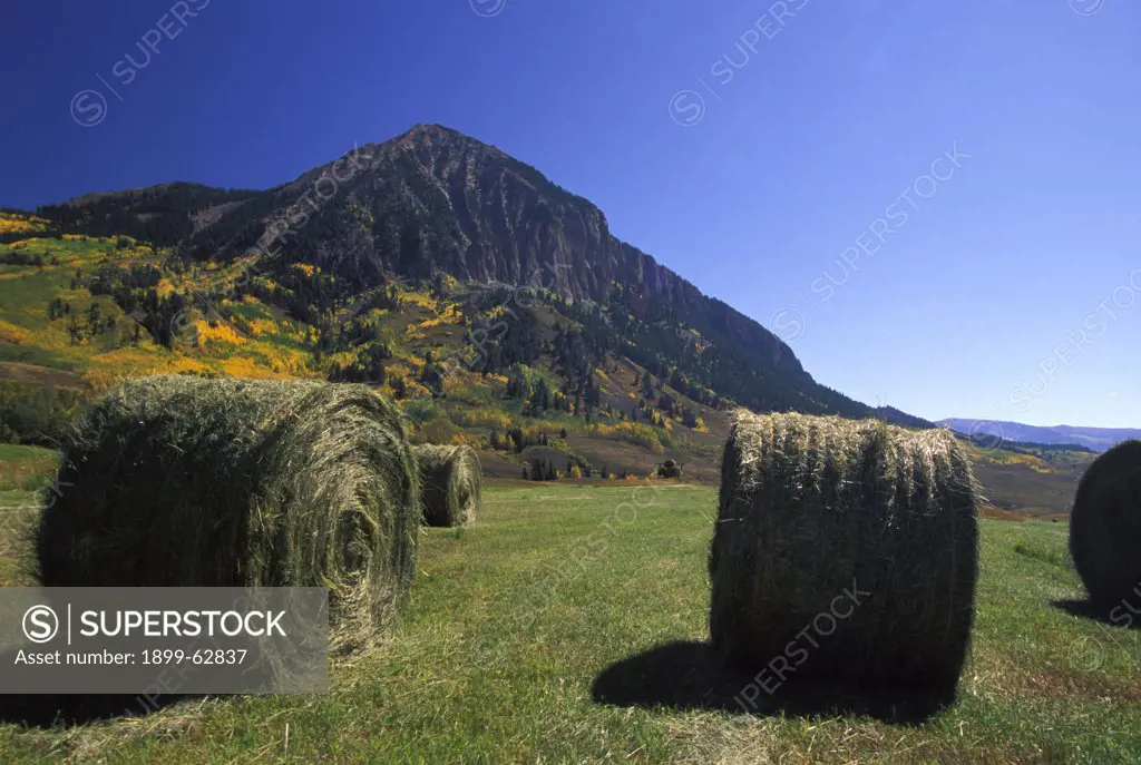 Colorado. Hay Bales With Mount Crested Butte In The Background. Fall Season.