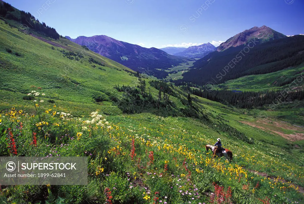 Colorado.Woman Horseback Riding On Trail #401, Above Washington Gulch