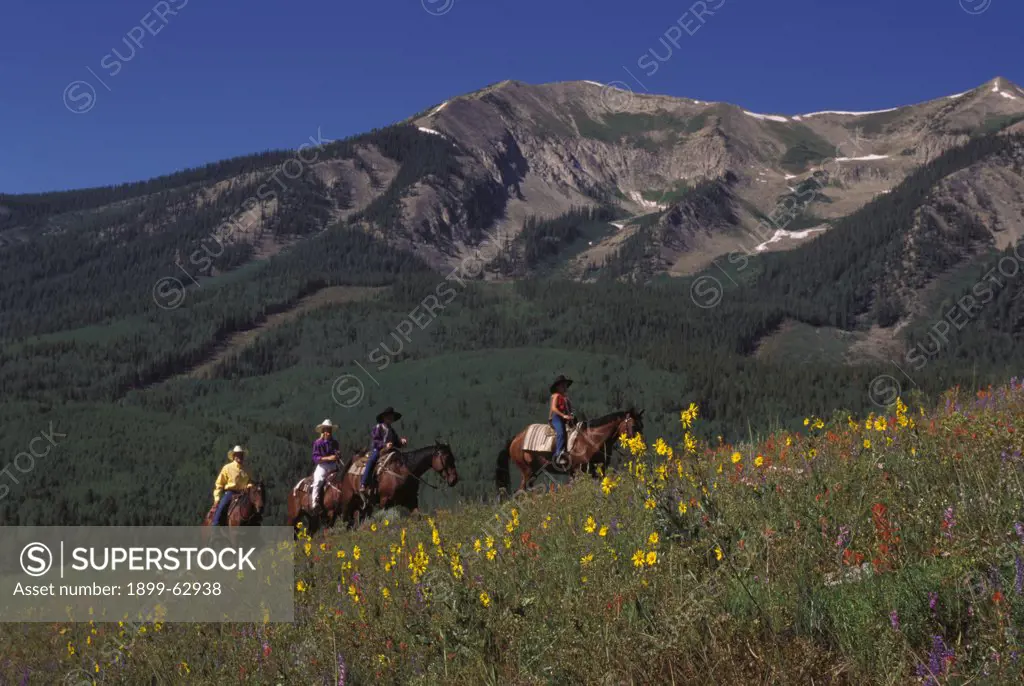 Family Horseback Riding In Field Of Wildflowers