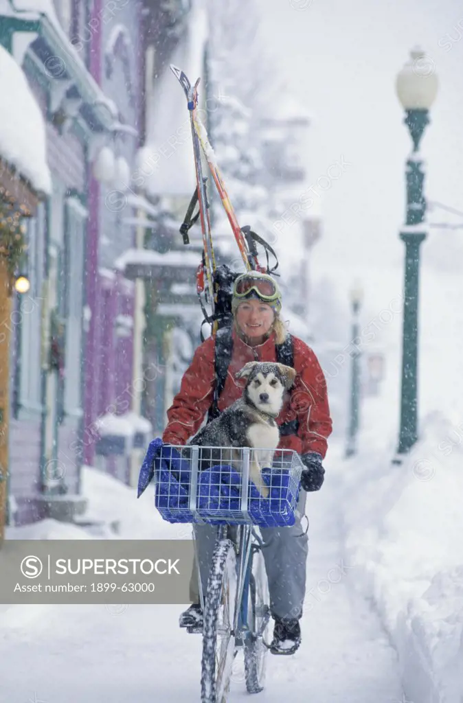 Colorado. Crested Butte. Woman On Bicycle With Puppy.