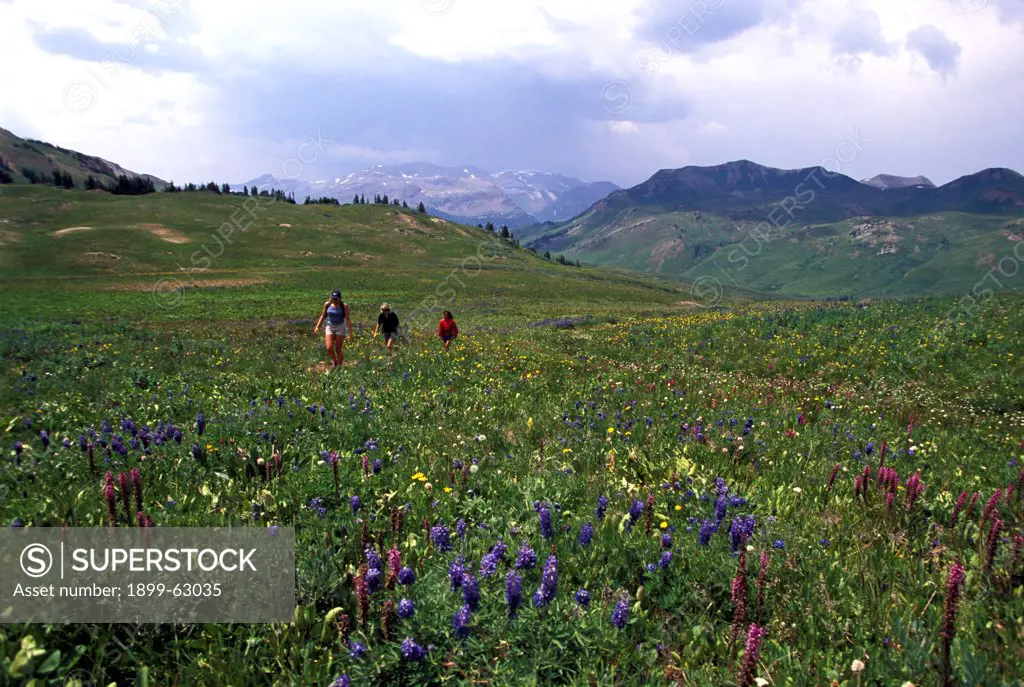 Colorado. Women Hiking West Maroon Pass On The Crested Butte Side In The Summer.