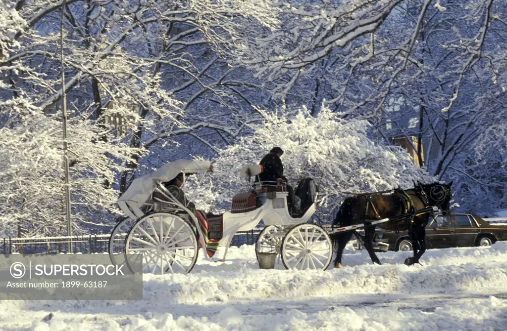 New York City, Central Park. Hansom Cab In Snow Covered Park