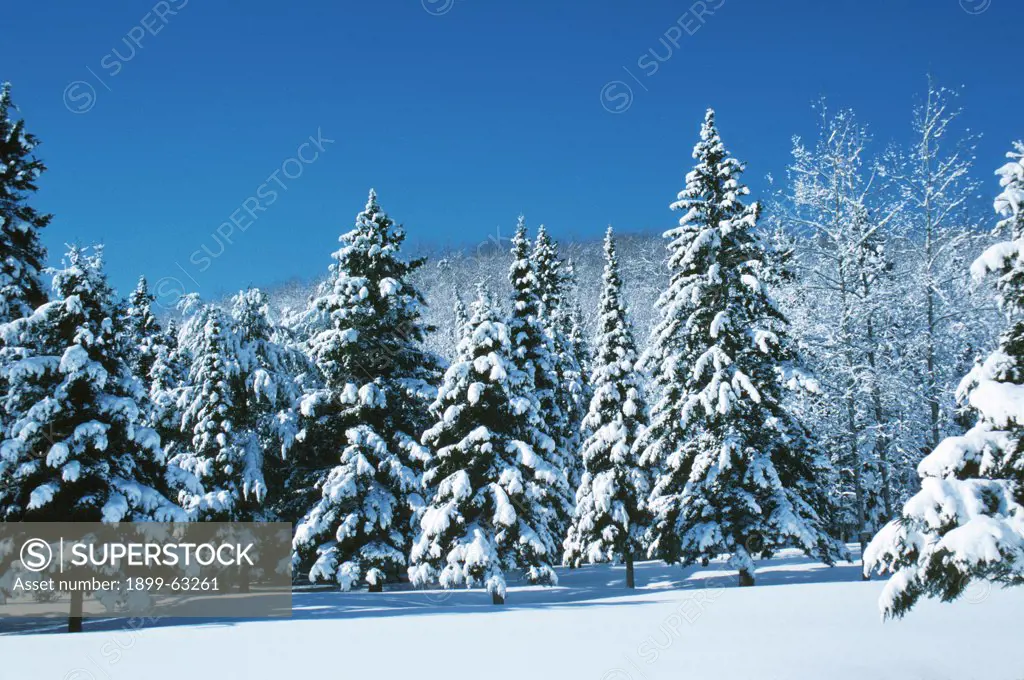 Canada, Quebec. Laurentian Mountains. Snow Scene.