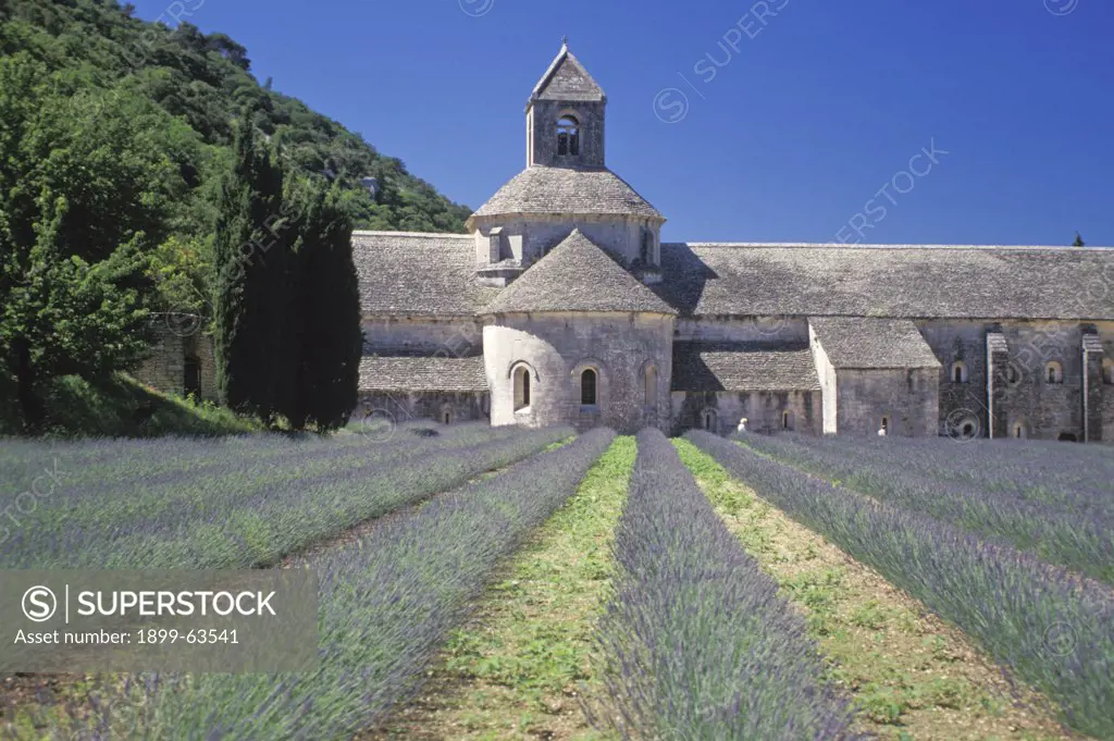 France, Provence, Abbaye De Senanque In The Gordes Region. Big Stone Castle-Like Abbey With Lavender Field In Front