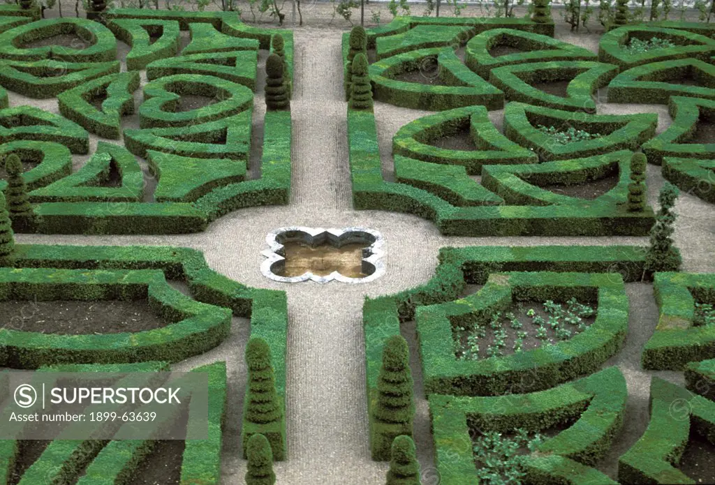 France, Villandry Chateau Gardens. Maze