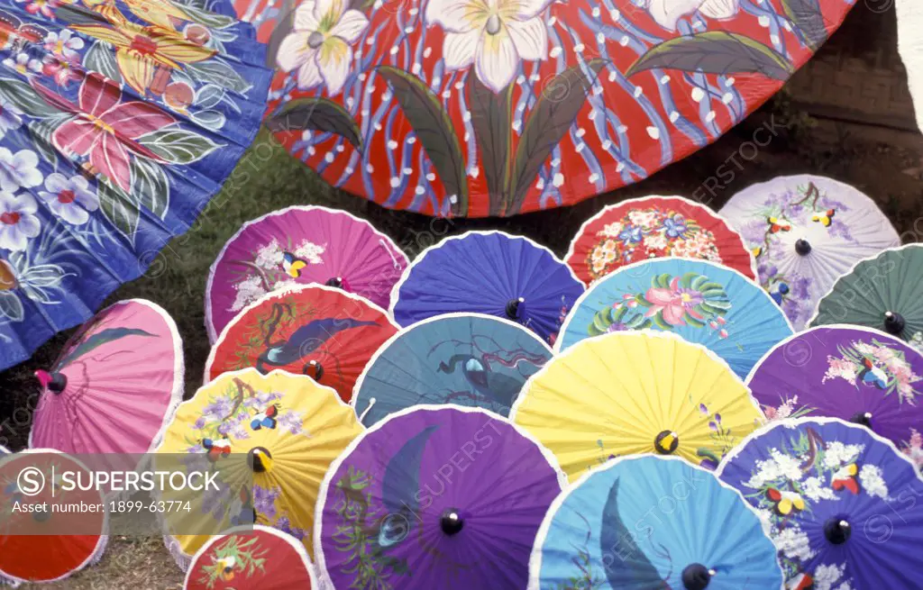 Thailand. Chiang Mai Region. Umbrellas