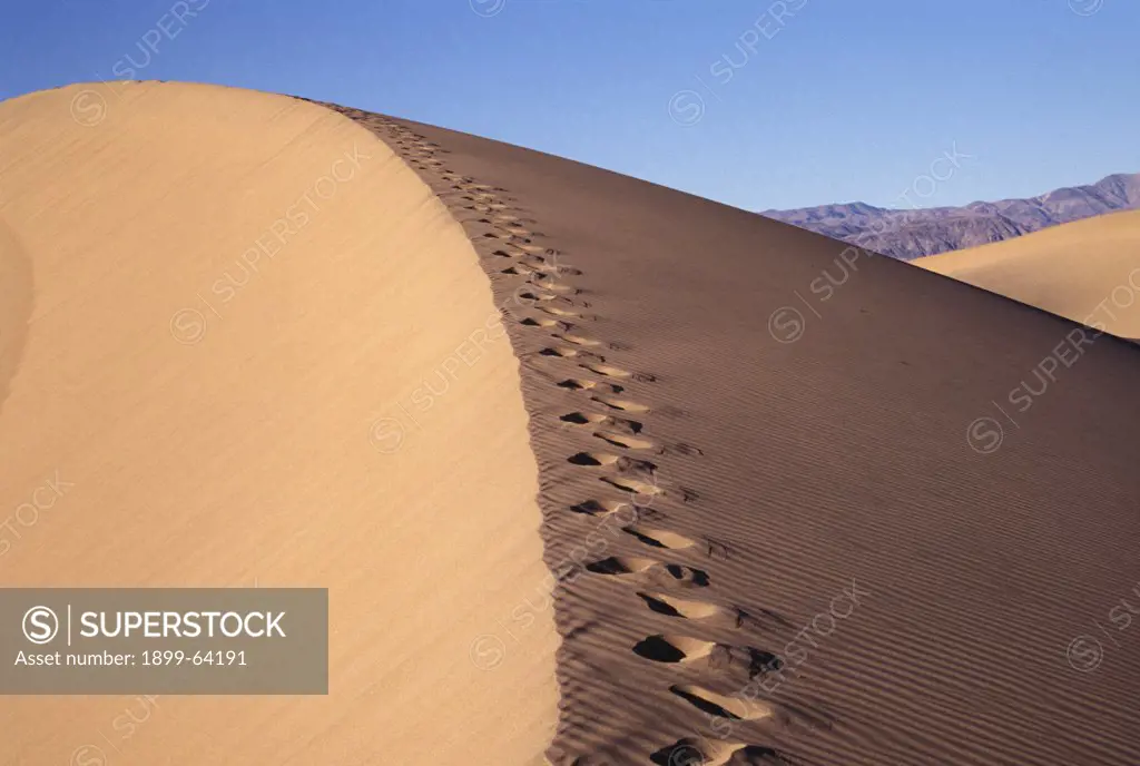California, Death Valley, Sand Dunes, Desertscape, Footprints In The Sand