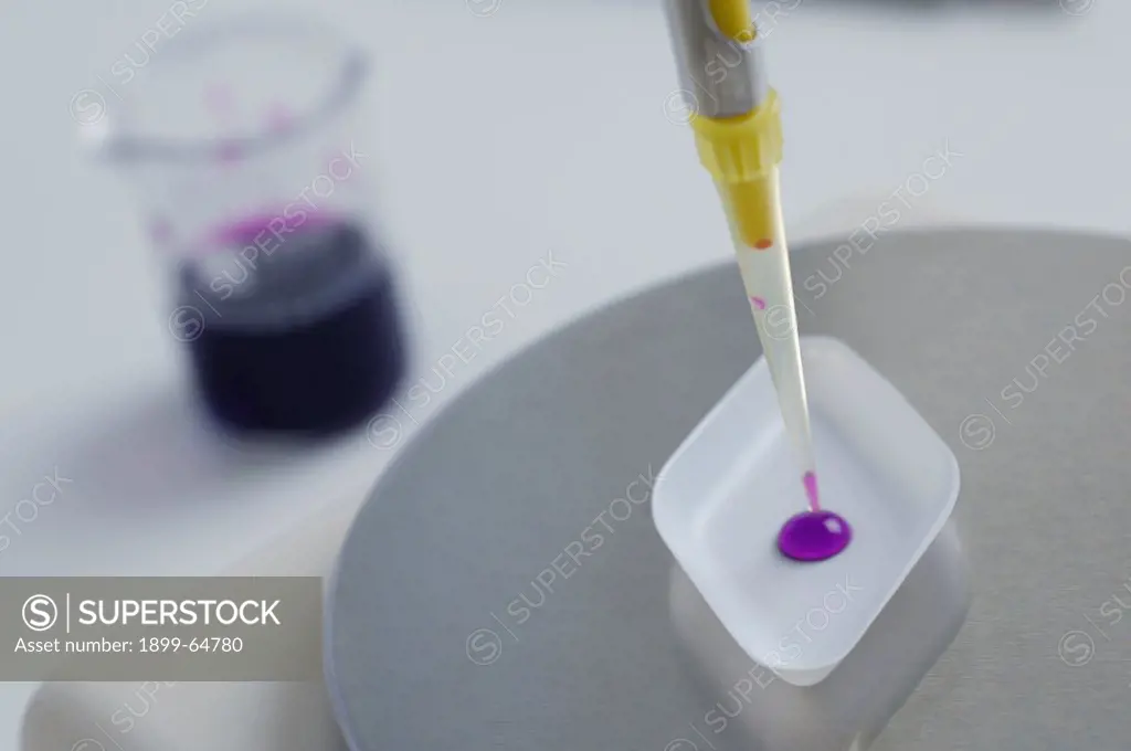 Pipetting purple liquid on plastic tray