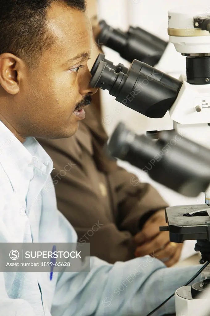 Pathologist looking through microscope at cytology slides