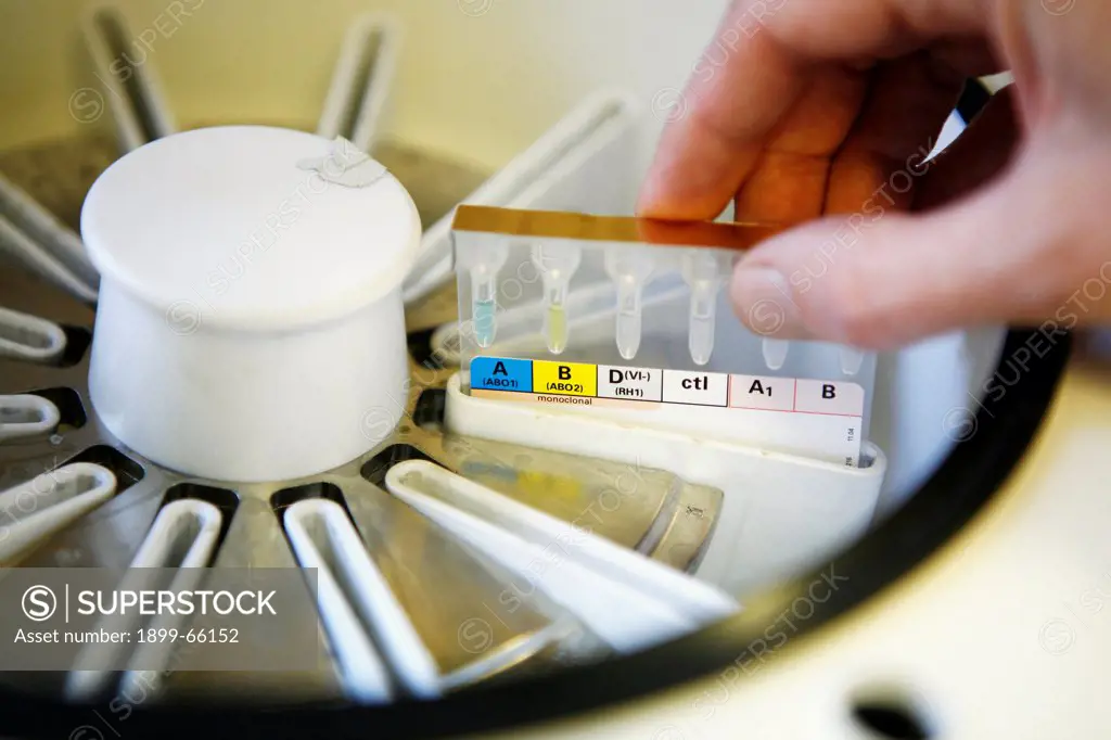 Pathologist loading Centrifuge with blood samples