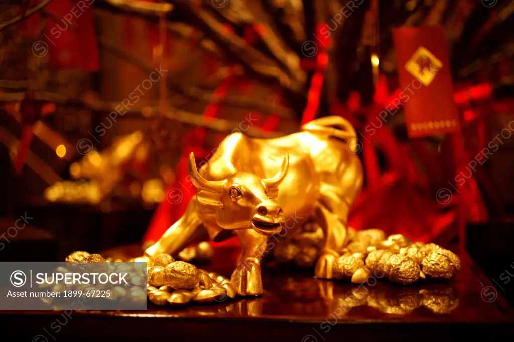 Chinese new year Year of the buffalo